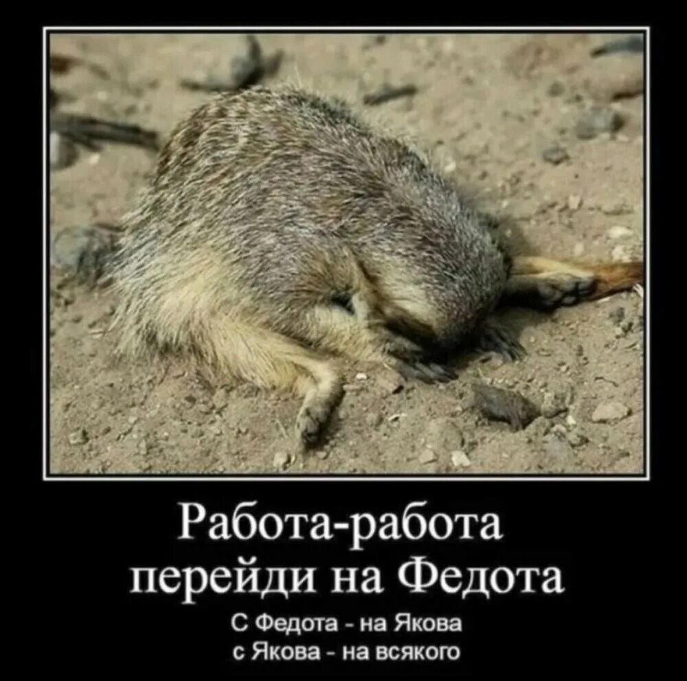 Работа работа переди. Работа работа перейди на федота. работа работа перейди на федота с федота на якова. работампаьота перейди на федота. работа работа перейди.