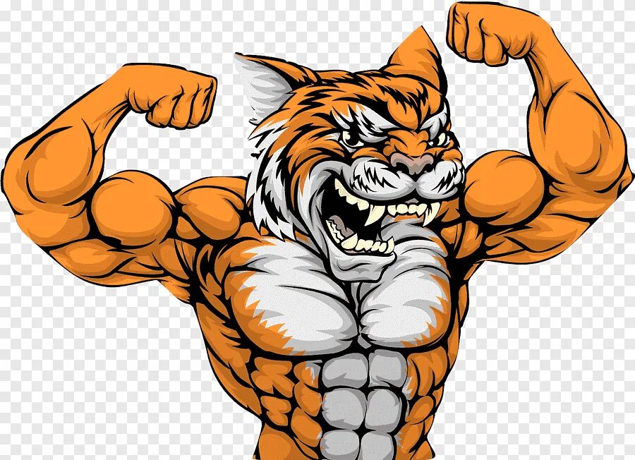 Мускулистый тигр. Tiger muscle. Фурри тигр самец. Звери качки. Tiger muscle.