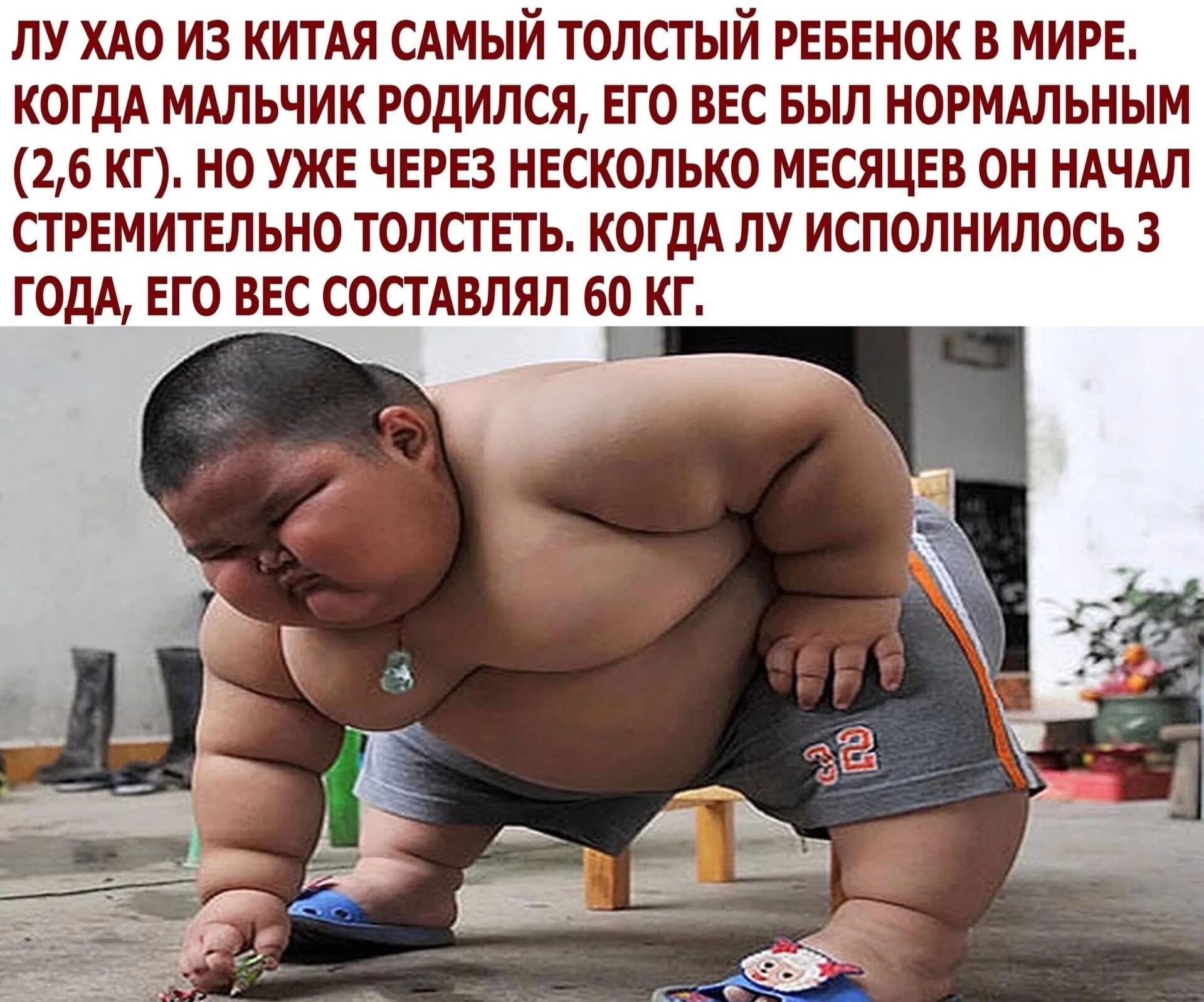 прикольные видюхи. прикольные видеоролики короткие. смешные короткие ролики. интересные короткие видеоролики. короткие видео больших.