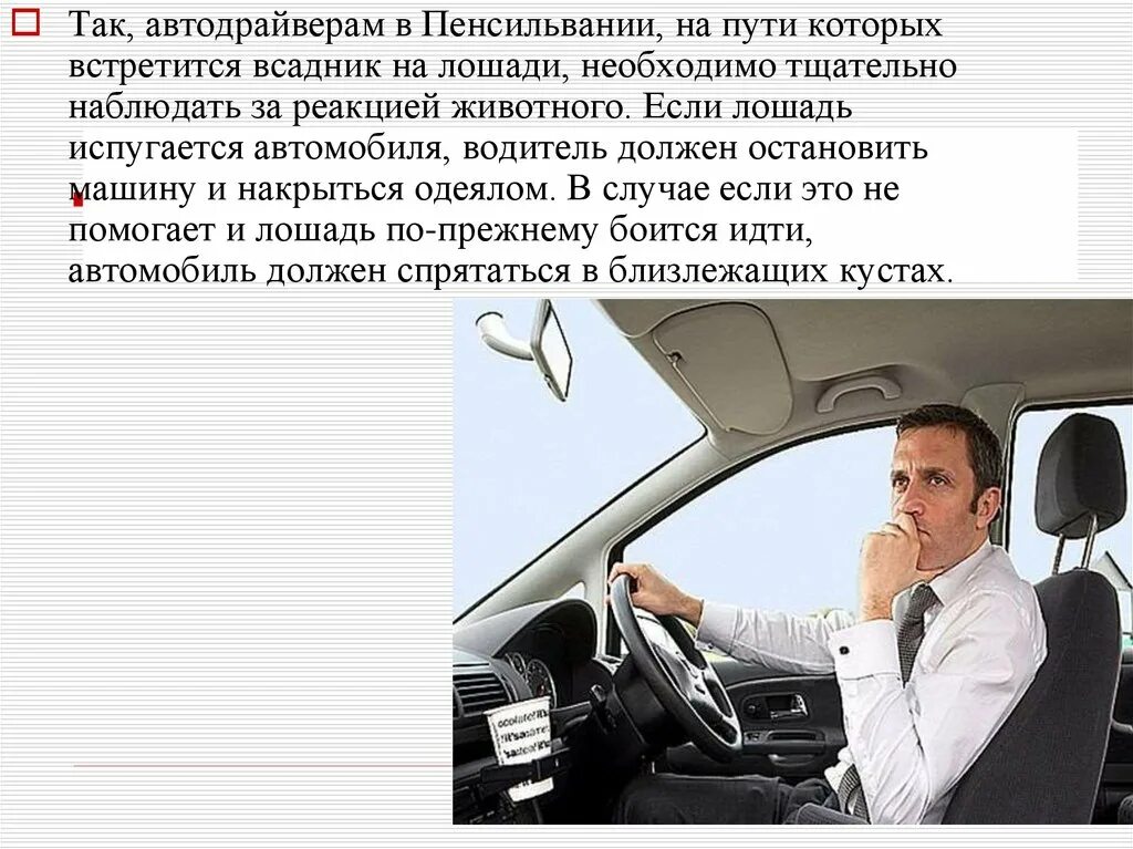 Тщательно наблюдал. Закон езды. Водитель автомобиля испуган. Картинка для презентации езда без прав. Вождение презентация.