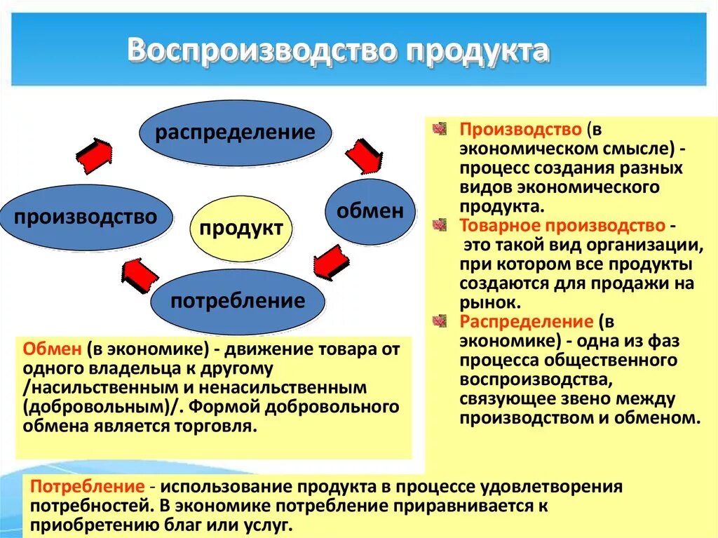 Воспроизводство экономического продукта. Распеределинив в экономике. Распределение в экономиком процессе. Воспроизводственный процесс в экономике.