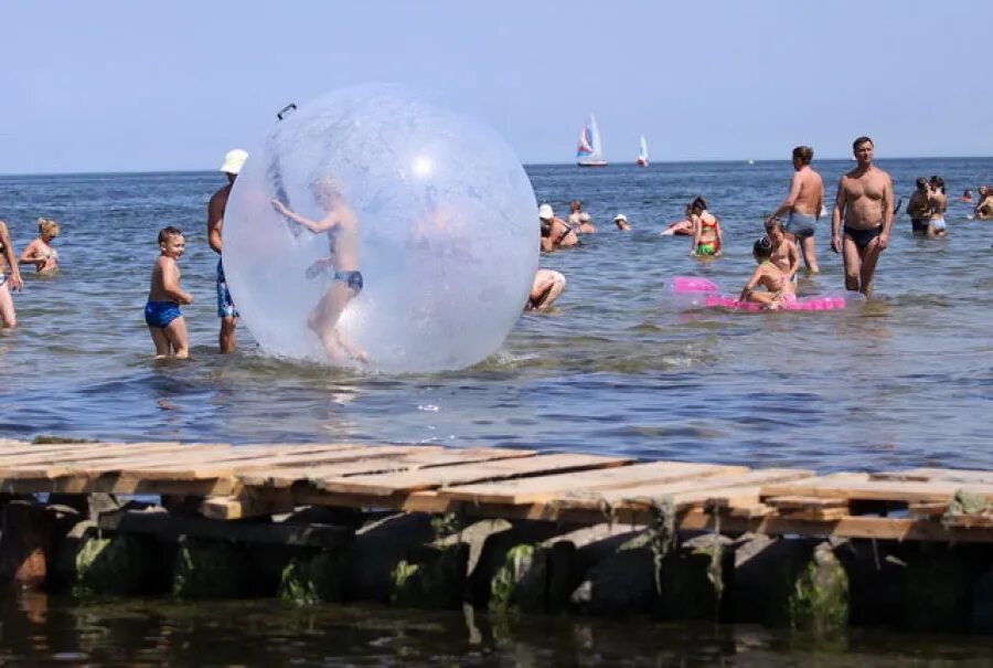 Температура воды в балтийском море зеленоградск