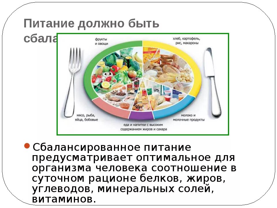 Меню биология 8. Питание должно быть сбалансированным. Какое должно быть сбалансированное питание. Сбалансированная пища в биологии. Что должно быть в правильном питании.