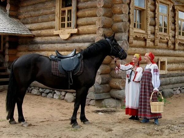 Лошадь и горящая изба. Коня остановит в горящую избу. Русская женщина коня на скаку остановит. Коня на скаку остановит карикатура. Лошадь на скаку.