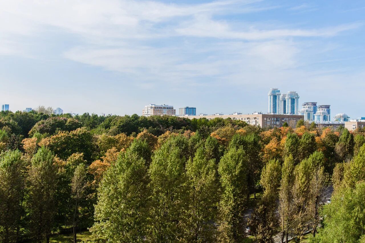 Купить квартиру мичуринский парк. Раменки. Раменки Москва. Мичуринский проспект парк. Раменки фото района.