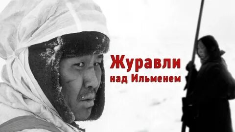 Рокот над ильменем