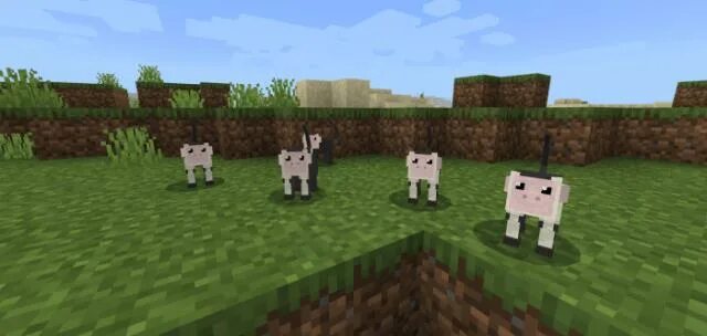 Майнкрафт капуцин. Человек козёл мод майнкрафт. World animal minecraft. World animal minecraft. Африканские животные майнкрафта.