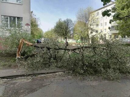 Погода в бобруйске на март 2024 года