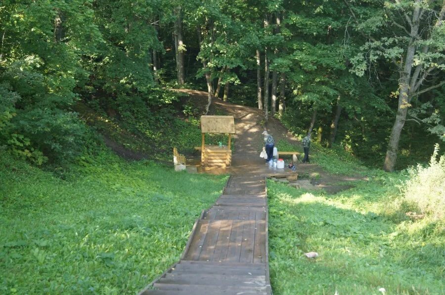 Лучинник большое болдино. Роща лучинник большое болдино. Лучинник большое болдино родник. Лучинник большое болдино родник. Лучинник большое болдино.