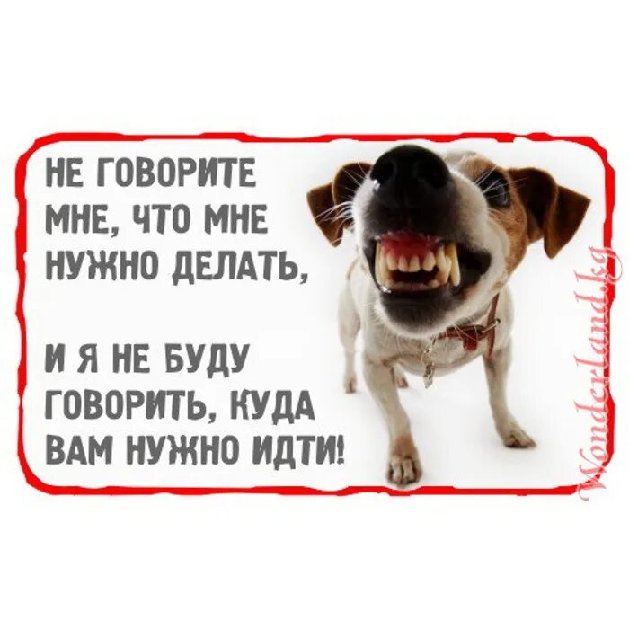 Где есть говорю. Не говорите что мне делать и я не скажу куда вам идти. Не говорите мне что делать. Не говори мне что делать и я не скажу куда тебе идти. Не говорите что мне делать и я не скажу куда вам идти картинка.