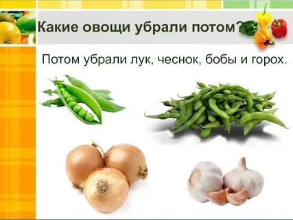 Овощи какое число