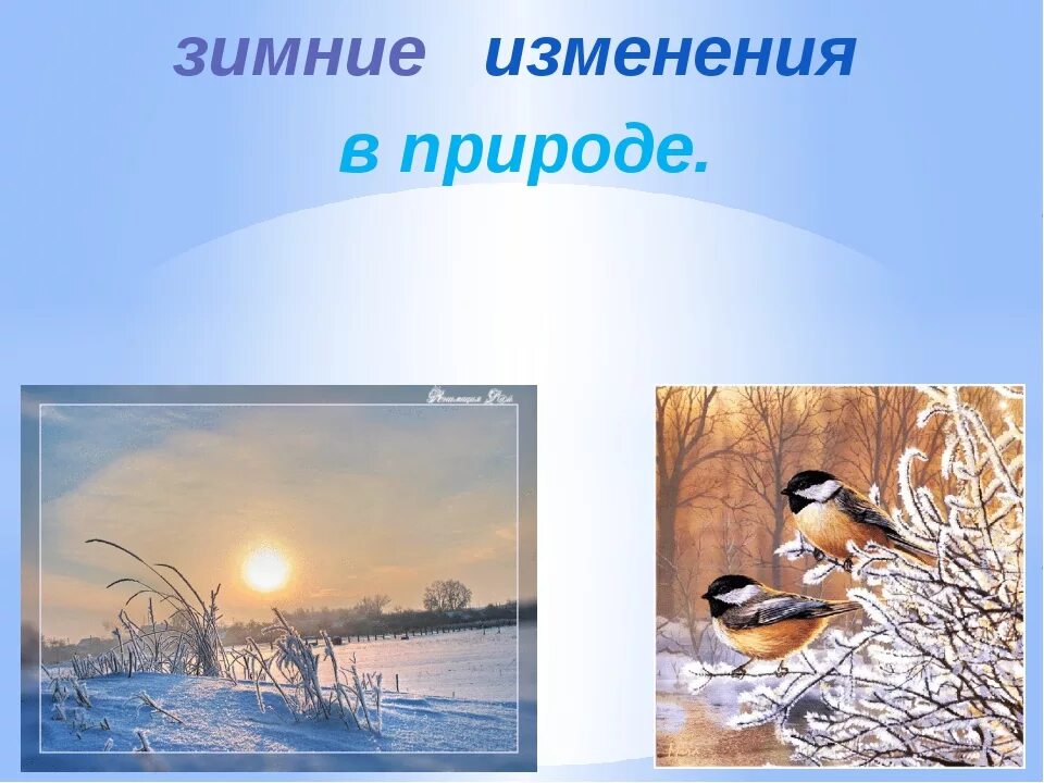 Признаки зимы в неживой природе. Зимние изменения в природе. сезонные изменения зимой. зимние измерения в природе. зимние изменения в живой природе.