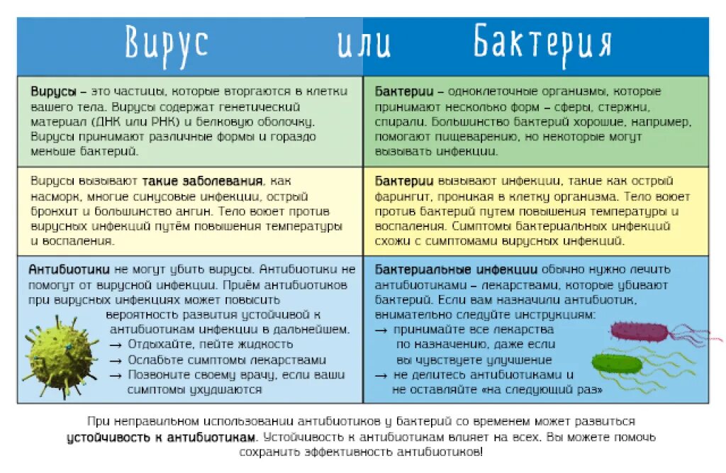 Как отличить болезнь. Отличие вирусов от бактерий таблица. Вирусная и бактериальная инфекция отличия. Отличие вируса от бактерии. Бактерии и вирусы отличия.