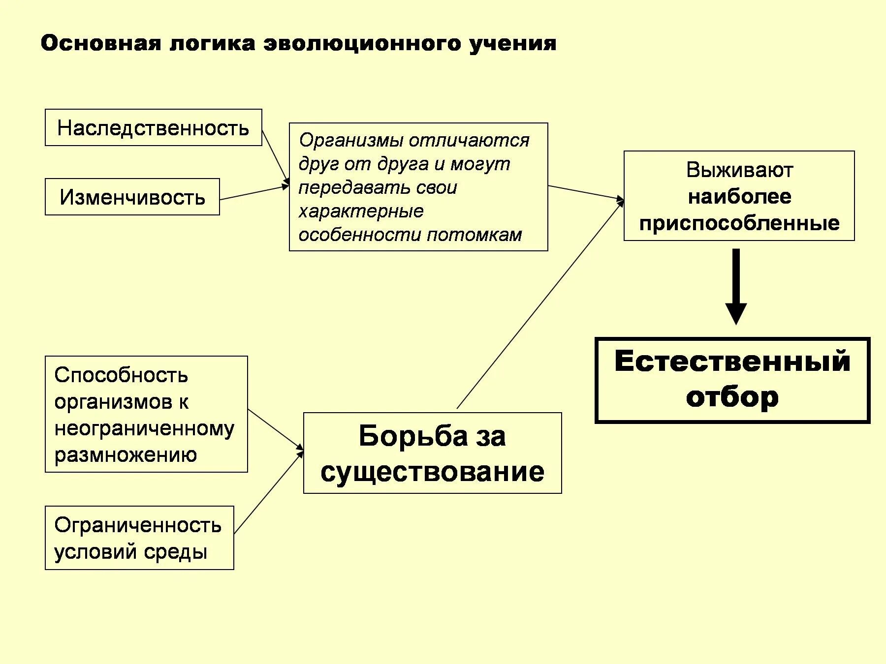 Последовательность теорий эволюции. Последовательность теорий эволюции