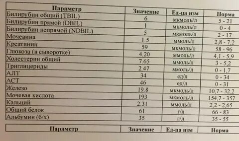 Белок в моче 36 недель