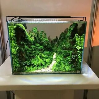 Аквариумные руки