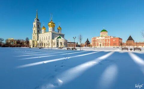 Зимняя тула