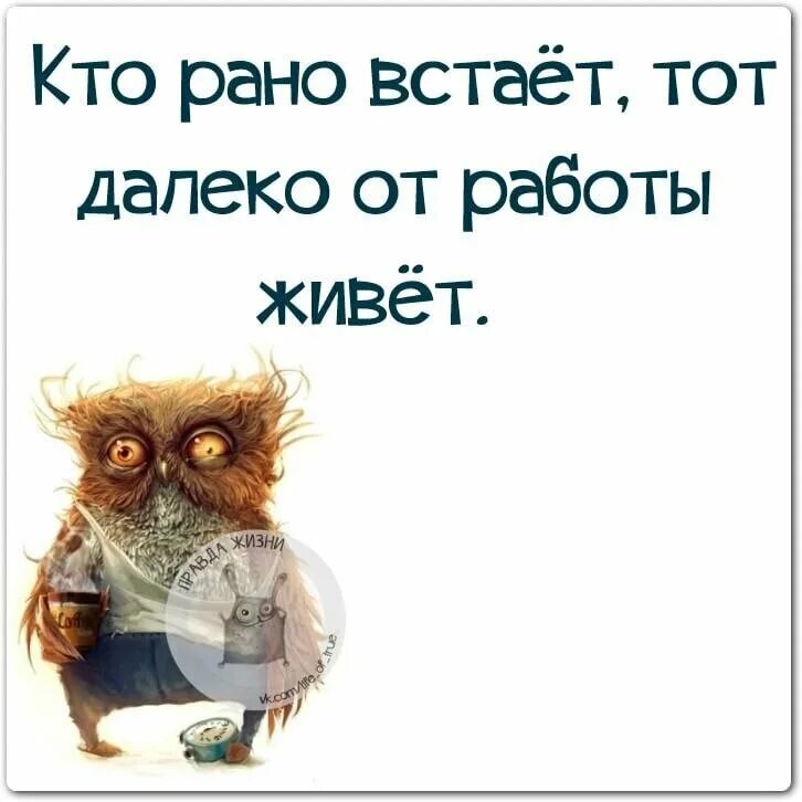 Не нужно раньше времени. Смешные открытки про работу. Юмор про работу. Статусы про работу прикольные. Смешные статусы про работу.