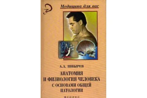 Анатомия и физиология человека лекции