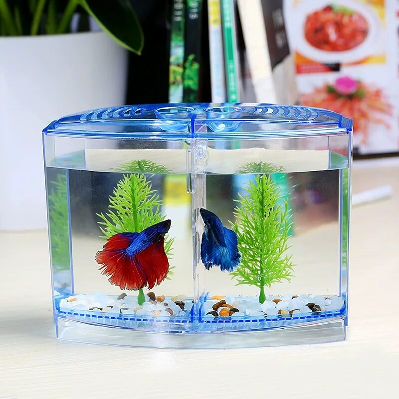 Аквариумные рыбки без фильтра. Aqua Box Betta 5,7л. Аквариум Betta. Мини Бетта аквариум мва3. Аквариум Box Betta 1.3.