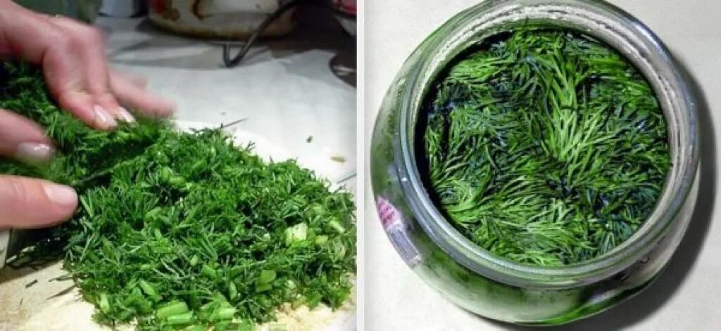 Как заваривать укроп. Как заваривать укроп. ). Укропный чай. Фенхель обыкновенный семена.