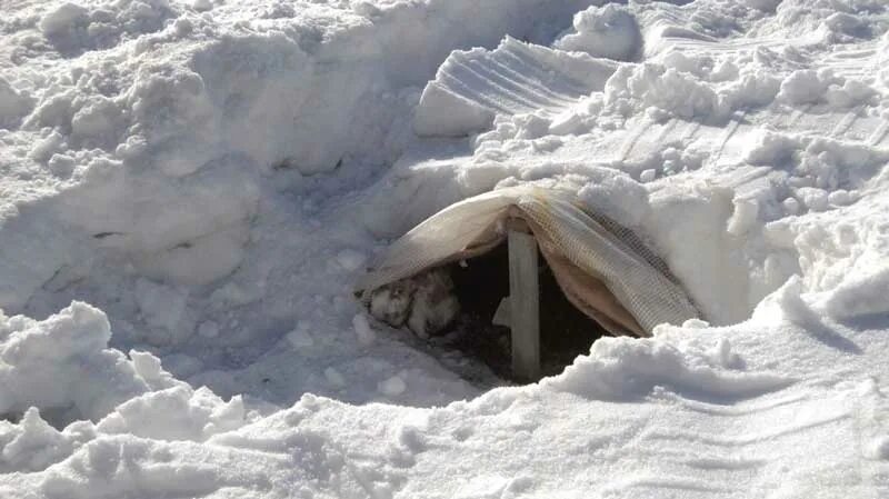 Могила в снегу. Зимняя яма. Снежная яма убежище. Снежная траншея укрытие. Яма зимой.