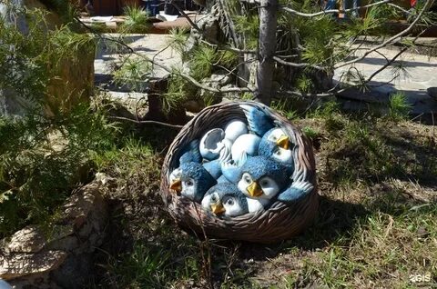 Семейное подворье поселок садовый