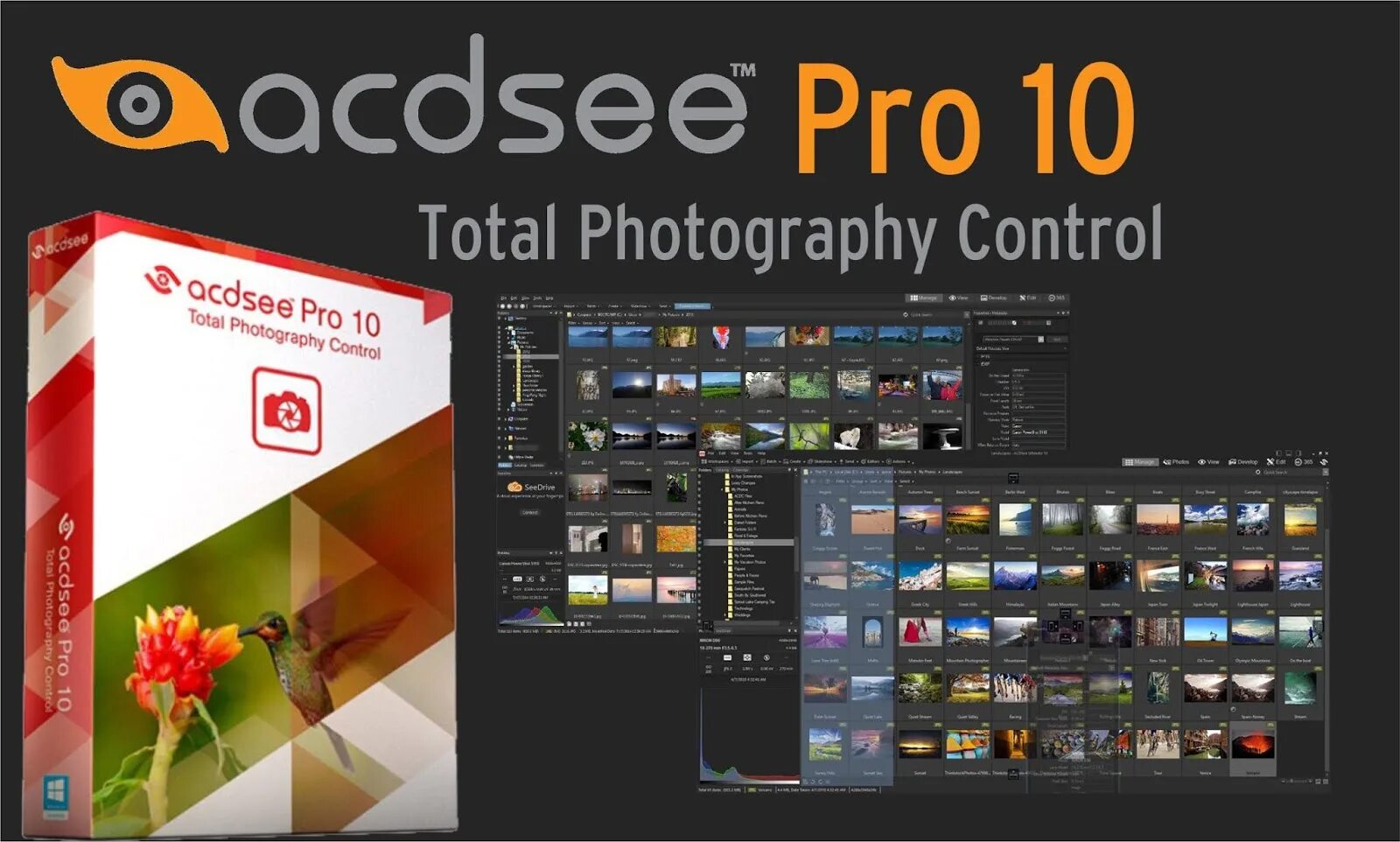 ACDSEE. ACDSEE Pro. ACDSEE 10. ACDSEE Pro 10 редактор. Acdsee pro русская версия