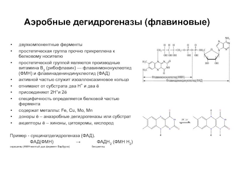 2 группы ферментов. Флавинзависимые дегидрогеназы. Ферменты дегидрогеназы ФАД зависимые. Флавиновые ферменты участие в тканевом дыхании. Дегидрогеназы их коферменты структура.