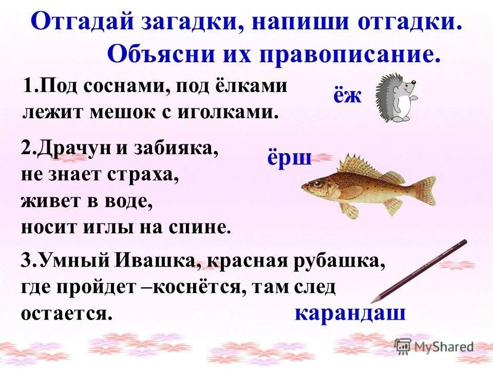 под соснами под елками лежит. под соснами под елками лежит мешок с иголками. под соснами под елками лежит мешок с иголками. по соснами под елками лежит мешок с иголками что это. соснами елками лежит мешок иголками отгадка.