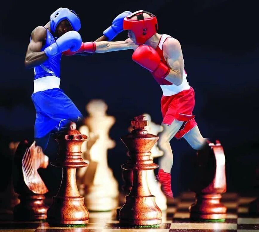 шахматы и бокс. шахбокс. вид спорта бокс и шахматы шахбокс. бокс шахматы. стюарт лонг бокс.