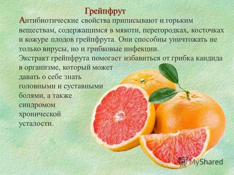 Грейпфрут свойства. Чем полезен грейпфрут для организма. Полезность грейпфрута для организма. Грейпфрут чем полезен для организма человека. Полезные свойства грейпфрута.