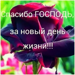 Господь ты так много