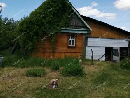 Погода в осинках семеновского на 14 дней