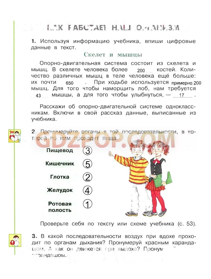 Запиши основные сведения о почвах вашего края. Окруж мир 2 класс рабочая тетрадь стр 40. Пользуясь информацией учебника впиши цифровые данные. Пользуясь информацией учебника впиши цифровые данные. Пользуясь информацией учебника впиши цифровые данные в текст.