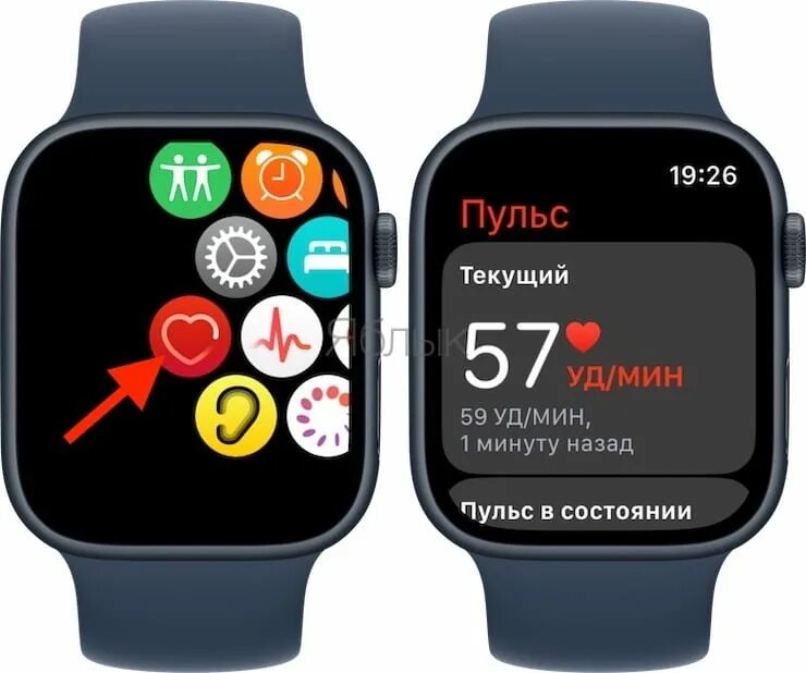 Пульс приложение для сотрудников. Приложение пульс. Приложение пульс. Приложение для измерения пульсации. Вариабельность пульса норма у женщин.