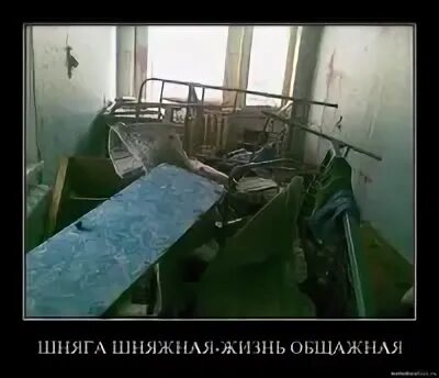 Песни шняга шняжная жизнь общажная