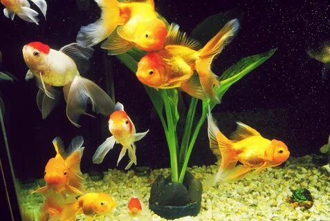 Жаңа порно видеоларды қараңыз