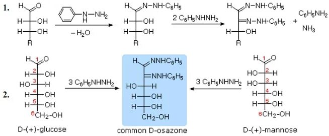 Манноза и азотная кислота. Манноза + pcl5. D манноза + НАДФН+Н. Манноза и циановодород. Фруктоза манноза