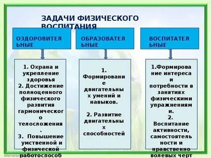 Оздоровительная задача физической культуры