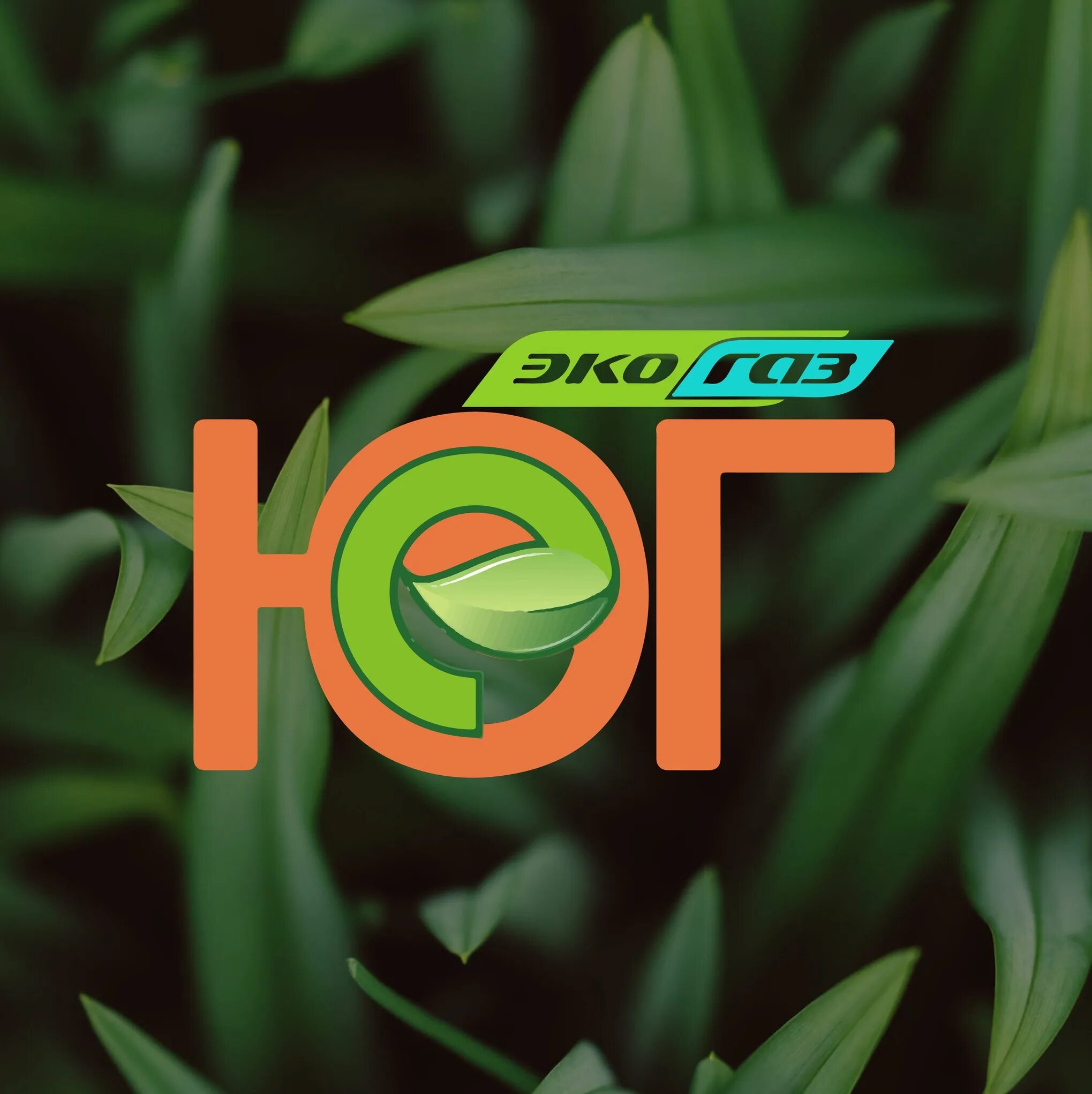 Газомоторное топливо значок. Ecogas логотип. Наклейка экогаз. Eco газ. Eco газ.