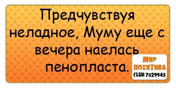 Почувствовав неладное Муму ещё с вечера наелась. Муму почуяв неладное с вечера наелась пенопласта. Муму наелась пенопласта. Муму еще с вечера наелась. Почуя в