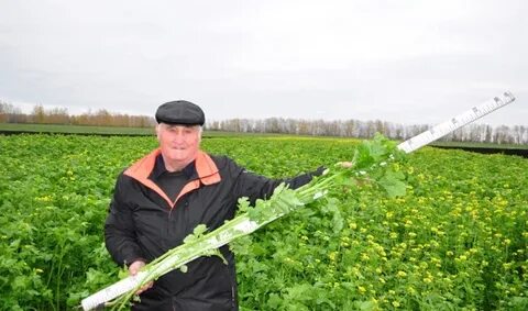 Участок агроном
