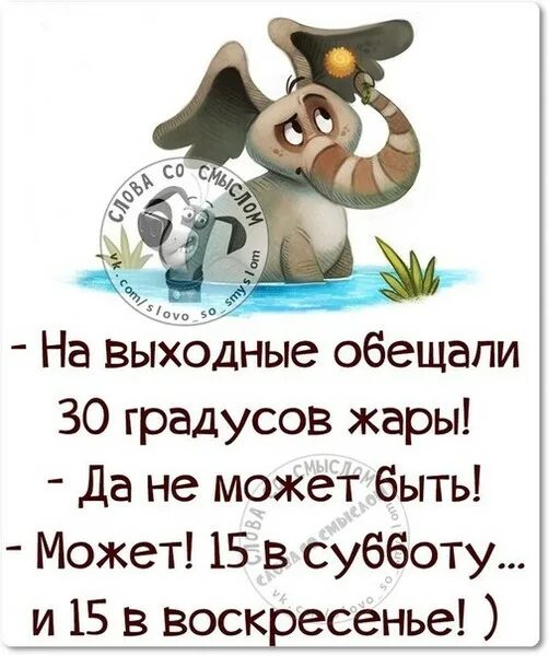 высказывания про воскресенье. воскресенье фраза. воскресенье цитаты. статусы про воскресенье прикольные. афоризмы про воскресенье.