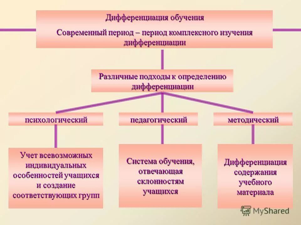 Дифференциация индивидуальных особенностей учащихся. Дифференциация индивидуальных особенностей учащихся