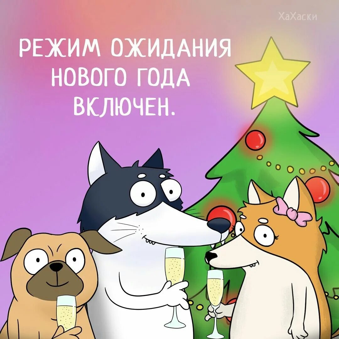 Пора решать