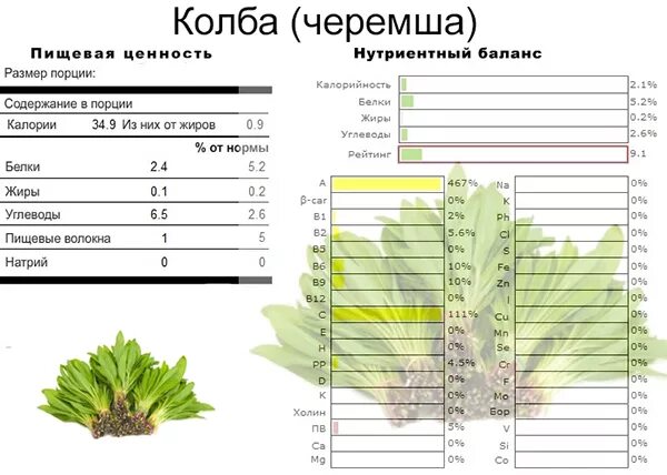 Черемша витамины состав. Черемша витаминный состав. Какие витамины в черемше. Чем полезна колба. Черемша польза и вред для здоровья