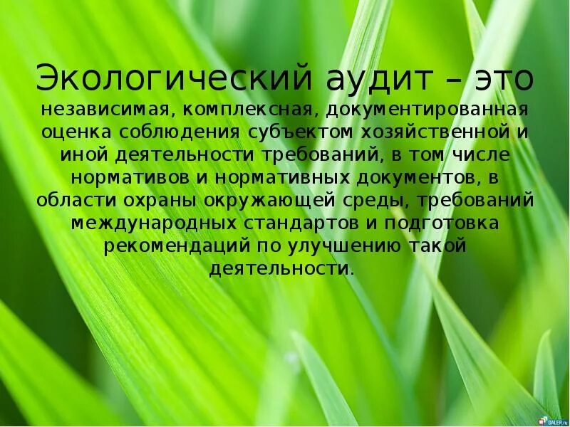 Экологический аудит определение. Экологический аудит. экологический аудит презентация. экологический аудитор. аудит в сфере охраны окружающей среды.