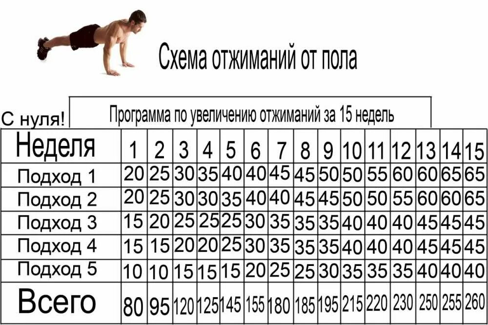Качаемся правильно программа