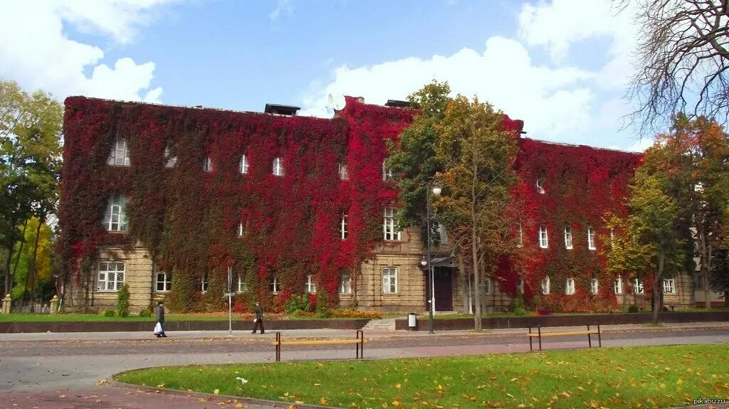 Янки купалы факультеты. Гродненский государственный университет имени Янки Купалы. Институт Янки Купалы в Гродно. Гродненский государственный университет им. Янки купал. Гродненский государственный университет Янки Купалы осенью.